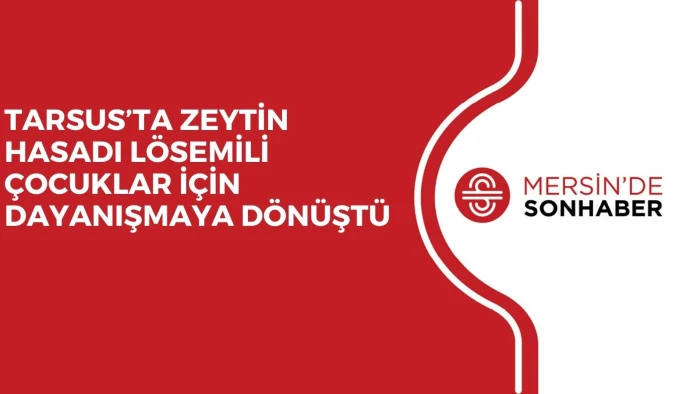 TARSUS&rsquo;TA ZEYTİN HASADI L&Ouml;SEMİLİ &Ccedil;OCUKLAR İ&Ccedil;İN DAYANIŞMAYA D&Ouml;N&Uuml;ŞT&Uuml;