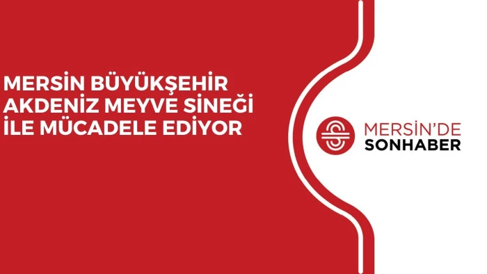 MERSİN BÜYÜKŞEHİR AKDENİZ MEYVE SİNEĞİ İLE MÜCADELE EDİYOR