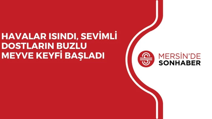 HAVALAR ISINDI, SEVİMLİ DOSTLARIN BUZLU MEYVE KEYFİ BAŞLADI
