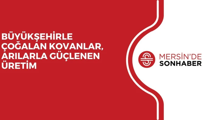 BÜYÜKŞEHİRLE ÇOĞALAN KOVANLAR, ARILARLA GÜÇLENEN ÜRETİM