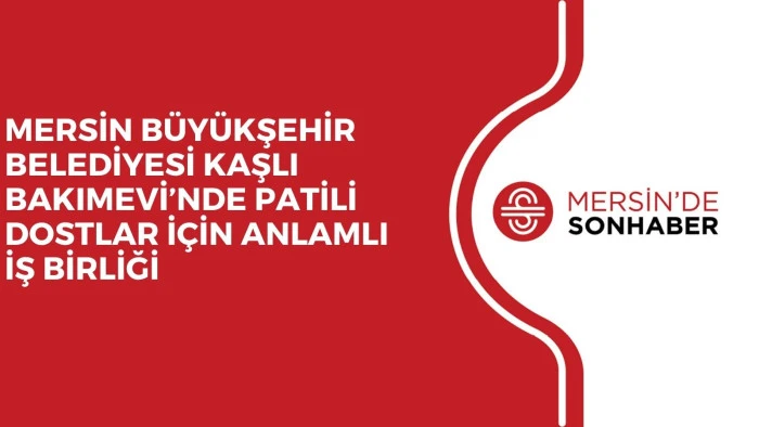 MERSİN B&Uuml;Y&Uuml;KŞEHİR BELEDİYESİ KAŞLI BAKIMEVİ&rsquo;NDE PATİLİ DOSTLAR İ&Ccedil;İN ANLAMLI İŞ BİRLİĞİ