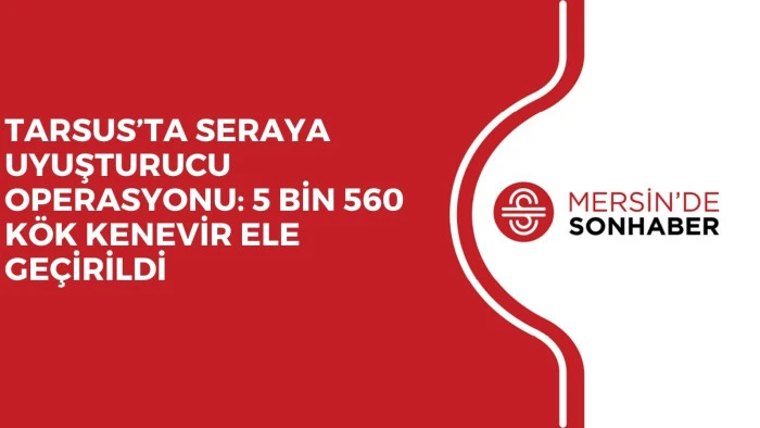 TARSUS&rsquo;TA SERAYA UYUŞTURUCU OPERASYONU: 5 BİN 560 K&Ouml;K KENEVİR ELE GE&Ccedil;İRİLDİ