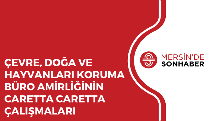 ÇEVRE, DOĞA VE HAYVANLARI KORUMA BÜRO AMİRLİĞİNİN CARETTA CARETTA ÇALIŞMALARI